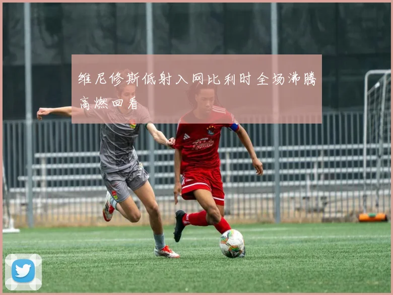维尼修斯低射入网比利时全场沸腾高燃回看