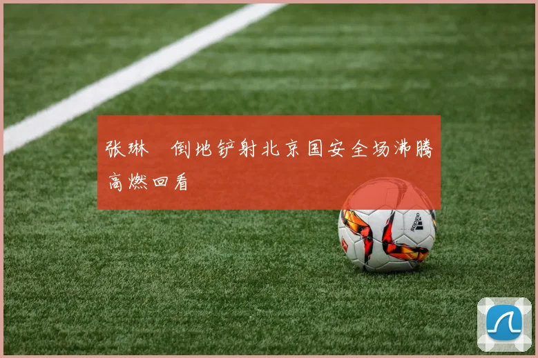 张琳芃倒地铲射北京国安全场沸腾高燃回看